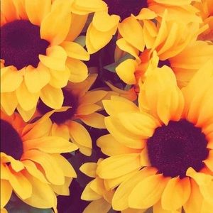 Meet your Posher, Aracely